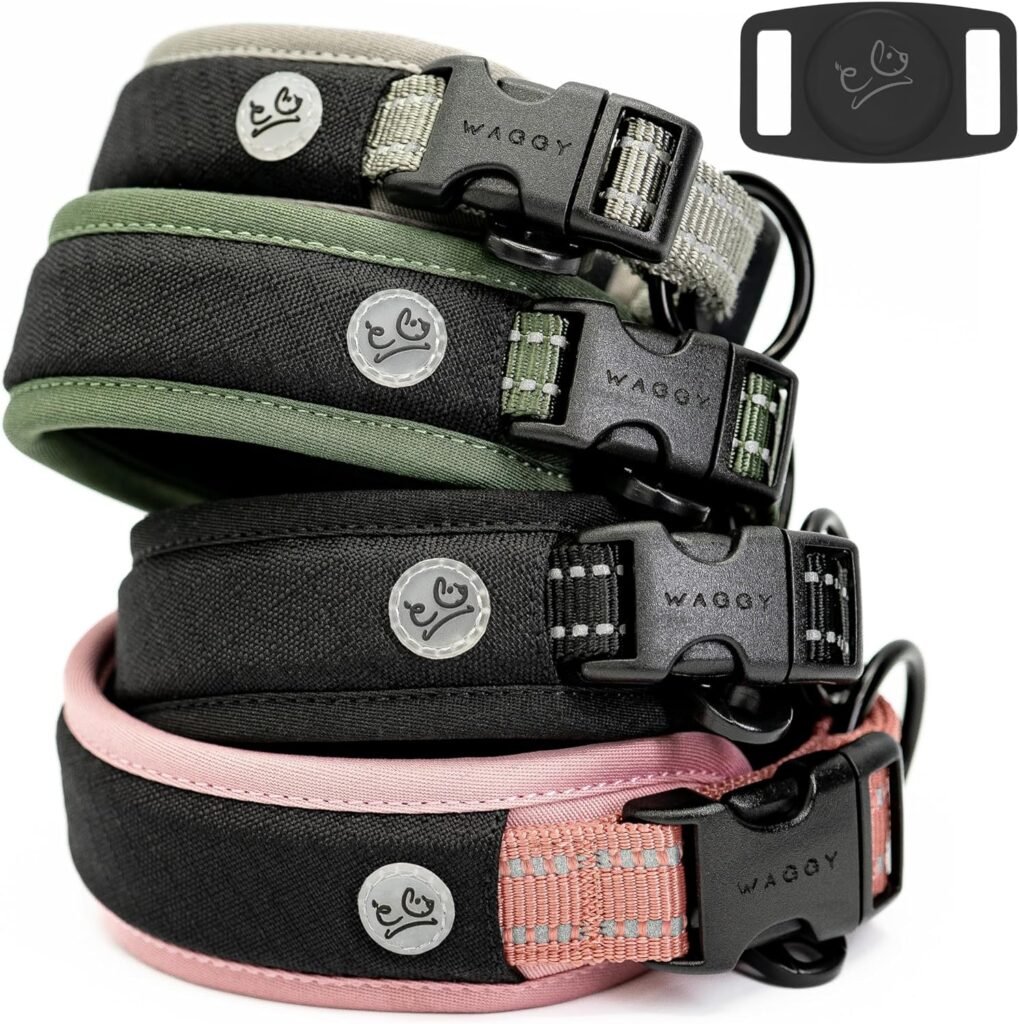 Dog Collar with AirTag Holder